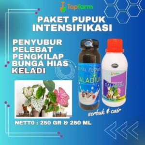 Pupuk Tanaman Hias Keladi / Pupuk Untuk Tanaman Keladi / Pupuk Penyubur Bunga Keladi / Pupuk Bunga Keladi / Pupuk Tanaman Keladi