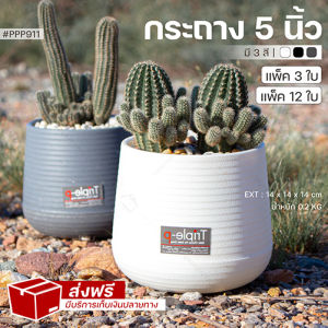 ส่งฟรี แพ็ค 3 ใบ และ 12 ใบ กระถางต้นไม้ 5 นิ้ว มี 3 สี ขาว/เทา/ดำ รุ่น 911 กระถางมินิมอล กระถางมีฐานรองน้ำ กระถางแคคตัส