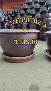 กระถางสีดำ กระถางปลูกต้นไม้ กระถางต้นไม้ กระถางราคาถูก กระถางราชบุรี กระถางมังกร กระถางดินเผา กระถางปลูก พร้อมจานรอง