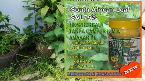 NHR South African Leaf (SAL) 75% 2 botol (99 kapsul/botol) untuk penderita diabet (gula kencing manis) darah tinggi (tensi) tenggorokan gatal (batuk)