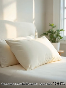 EcoLuxe ปลอกหมอนหนุนติดซิปซ่อน  ให้ห้องนอนของคุณให้เป็นสวรรค์แห่งความเป็นมิตรต่อสิ่งแวดล้อม
