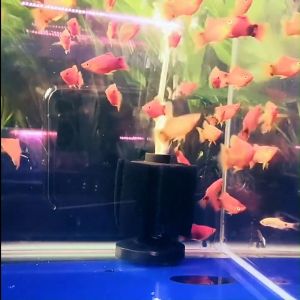 กรองฟองน้ำตู้ปลา ยี่ห้อ Bonetar รุ่น XY-2835/XY-2836/XY-2810/XY-2811/XY-2813/XY-180/XY-380 กรองฟองน้ำ สำหรับกรองน้ำในตู้ปลาและอ่างเลี้ยงปลา ทำให้น้ำใสสะอาด ลดการถ่ายน้ำ