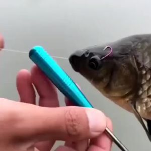 Proberos Alat Pelepas Kail Pancing Fish Hook Remover Murah Anti Karat