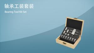 NICEDEN Dental Hand piece Turbine Cartridge Repair Tool Bearing Repair Kit for High Speed and Low Speed Hand piece