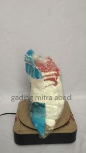 Sarung Tangan Nyaman Rajut Nylon Warna Putih Merk PAUS