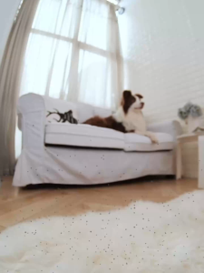 เครื่องฟอกอากาศ Air Purifier สำหรับพื้นที่ 40 ตรม.กระบะทรายแมวดับกลิ่น อุลตราไวโอเลต อัตราการกำจัดแบคทีเรีย 99.9% เหมาะสำหรับห้องน้ำ ห้องครัว ห้องสัตว์เลี้ยง ฆ่าเชื้อ และฟอกอากาศ มีจอแสดงผล LED ไอออนลบ โอโซน กำจัดฟอร์มาลดีไฮด์ PM2.5 เครื่องกรองอากาศ