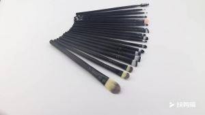 20Pcs Brush Kit Professional Makeup Brushes Soft Fiber Plastic Handle Contouring Blending Shading Highlighting C612
