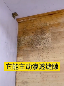 Wall Mold Remover Spray 500ml Kitchen Bathroom Wall Mold Wall Mildew Removal Spray Wall Cleaner Wall Stain Anti-mold Spray