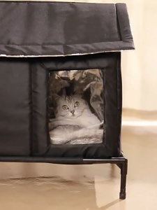 Teekland Elevated Pet House Bed Cooling Moisture-Proof Design for Indoor/Outdoor Rainproof Cat Nest Use Fits Small/Medium Pets