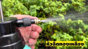 TAKA กระบอกฉีดน้ำ 2 ลิตร 3 ลิตร ถังพ่นฉีดน้ำ ฟ็อกกี้ รดน้ำดอกไม้ ถังพ่น หัวทองเหลืองอย่างดี ไม่เป็นสนิม กระบอกพ่นยา ปั๊มลม ประกัน 7 วัน