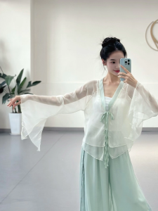 Áo Tập Khiêu Vũ Cổ Điển Áo Thun Lụa Sọc Cổ Tay Áo Vải Chiffon Trang Phục Biểu Diễn Khiêu Vũ Túi Xách Thời Trang Mùa Hè