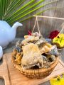 DUY ĐIỆP DA CÁ LẮC TRỨNG MUỐI PHÔ MAI 100g, da cá tẩm công nghệ Singapore, ĐÓNG HỘP ĂN LIỀN THƯỢNG HẠNG , ăn vặt siêu ngon, đặc sản SINGAPORE, món ngon ăn liền.. 