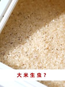 【Free Shipping】5/10 KGKitchen Rice Storage Box Food Container Household Cereal Rice Bucket Insect and Moisture Proof Sealed Organizer Box