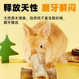 Pineapple Aids Digestion Rabbit Pig Chinchilla Toy Dental Health Bunny Snack Pet Food And Supplies Normal Specification