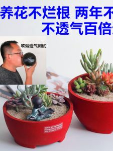 Breathable Ceramic Flower Pots Multi Succulent Plate Porous Porcelain Craft Old Friend 2110 round Shape Planters for Desktop