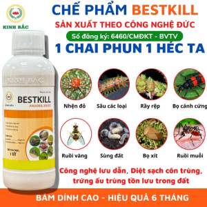 Combo 2 chai Chế phẩm diệt côn trùng BESTKILL Chai 1L Công nghệ Liên Bang Đức