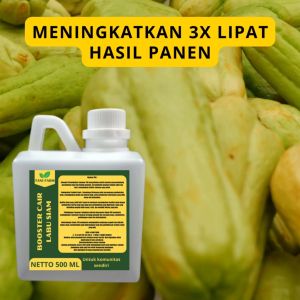 Pupuk Pelebat Labu Siam / Pupuk Labu Siam / Pupuk Booster Labu Siam / Pupuk Labu Siam