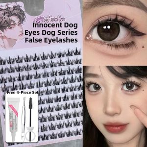 Faiccia | Natural Daily False Eyelashes Single Cluster Segmented Style