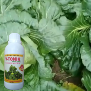 Pupuk Cair 500 ml Booster Penyubur Akar Batang dan Daun Hormon Penumbuh Penguat Akar