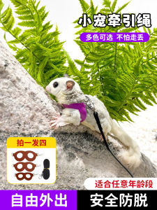 เสื้อคลุมแฮมส์บูร์กเกอร์แบบถือออกสำหรับการเดินเล่นกับสัตว์เลี้ยง สายคล้องคอแบบถือออก ป้องกันการหลุดรอดและป้องกันการกัดสัตว์เลี้ยงขนาดเล็ก