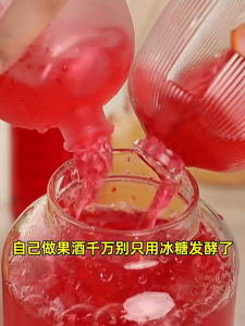 [Loại thượng hạng] Men ủ  trái cây 3g nước uống  hoa quả Angle