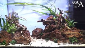 Lava Rock / Volcano Stone 500g