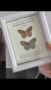 European Style Hollow Creative Large Size Display Frame