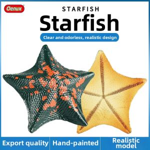Educational Five-Point Starfish Model