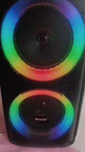 Brudo BTS-2091 Dual 6.5-inch Professional Bluetooth Speaker