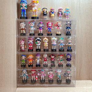 Wall Mountable Acrylic Display Box