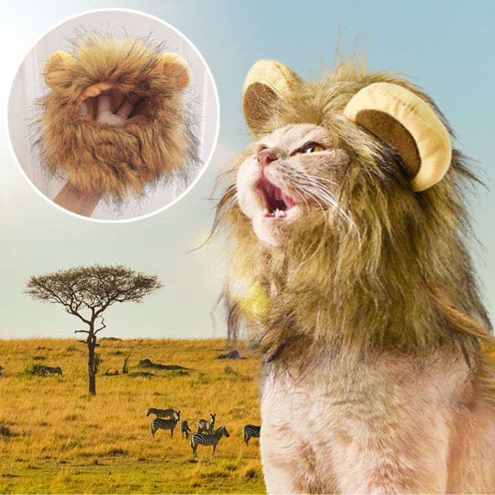 Cat Costume Cute Lion Mane Wig Hat for Cat Puppy Dog Decor Accessories Lion Kitten Cat Wig Fancy Hair Cap Lazada PH