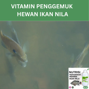 Vitamin Penggemuk Ikan Nila Alami 500ml Nafsu Makan Naik Bobot Cepat Bertambah Max Penggemukan
