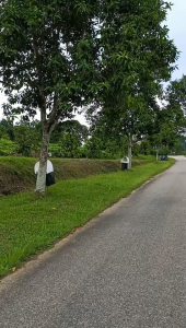 HEALULUT MADU KELULUT / STINGLESS BEE HONEY / 银蜂蜜 500g -- ITAMA -- GRADE A & 100% GENUINE PRODUCT  -- REDUCING CHOLESTEROL & DIABETIC