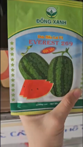 (Gói 20gr) Hạt Giống Dưa Hấu Lai F1 EVEREST 269 ĐỒNG XANH - Trái dài vỏ mỏng ruột đỏ đậm thịt chắc