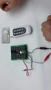 12 Way Wireless Remote Switch Control 12V/24V DC Motor Lighting Relay Board Module with 433MHz 12CH RF Controller