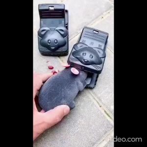 Mouse Trap Perangkap Jebakan Tikus Jepit Besar Jumbo Ampuh Kuat Tahan Lama