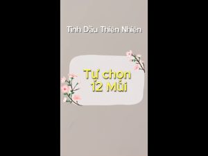 Tinh Dầu Thơm Xe DMT Thiên Nhiên 8ml – Kẹp Cửa Gió Ô Tô Khử Mùi Hôi Khuếch Tán Hương Thơm Dịu Nhẹ 12 Mùi Hương