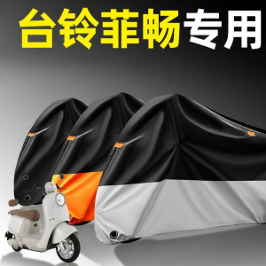 Sun and Rain Protection EV Cover