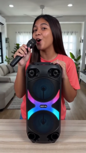Lucky Home 10 Inch Powerful Sound Speaker with Bluetooth 5.0 Dual Mic FM Radio LED Lights for Party Use