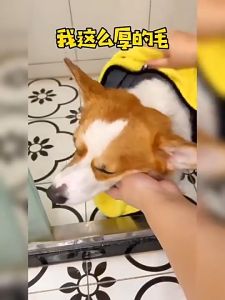 Handuk Kucing Grooming Tinggi Microfibe Handuk Mandi Kucing Grooming Handuk Anjing Serap Air