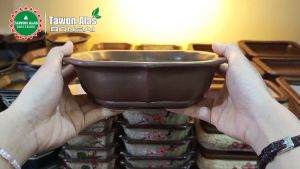 Pot Keramik Bonsai Mame Sukulen Unik