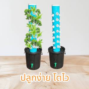 กระถางปลูกผักแนวตั้ง(ชุด2in1) ปลูกได้ทั้งแบบไฮโดรโปนิกส์และแบบใส่ดิน พร้อมอุปกรณ์ ถังน้ำ 40 ลิตรพร้อมปั้มน้ำ ท่อพีวีซี6 นิ้ว ช่องปลูก 42 ช่อง ปลูกผักได้หลายชนิด ประหยัดพื้นที่ ปลูกได้ทุกที่ทุกฤดู