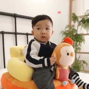 SBT3 | Sofa Bayi Belajar Duduk Import Motif Hewan Lucu RUZAIN MALL