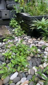 Sapu Pengki Mini Set Mobil Kecil Nilon Dragon