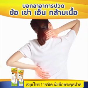 นั่งนาน ใช้งานกล้ามเนื้อหนักเป็นประจำ ต้นคอ บ่า ไหล่ ร้าวลงหลัง เอว ใช้ ครีมนวดสมุนไพร 99นาโน ซึมลึกตรงจุด ซึมนาน ไม่เหนียวเหนอะหนะ