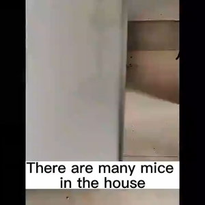 Long Acting Rat Repellent For Home Safe Rat Killer Non-toxic Mouse Repellent Mothballs