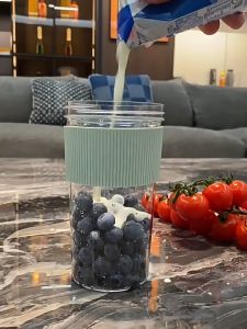 Portable Multifunctional Cordless Electric Travel Juicing Cup Home Fruit Smoothie Cup with Six Blade Stainless Steel Cutter Head With Straw Juice