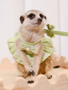 Adorable Squirrel Guinea Pig Outfit Princess Dress Outdoor Leash Costume Cartoon Creative Long Pet Clothes for Small Animals