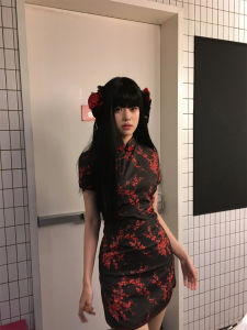 Chinese Cheongsam Dress Halloween Christmas Cosplay Uniform Soft Girl Maid Uniform Short Sleeve Daily Wear Other Material