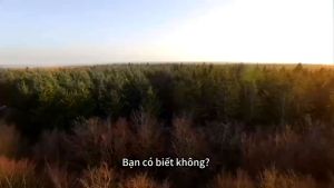 Maca 1600mg Tăng Cường Sinh Lý Cho Cả Nam Và Nữ Tăng Cường Năng Lượng Tự Nhiên Hỗ Trợ Sinh Sản Tăng Hiệu Suất & Sức Bền Hỗ Trợ Miễn Dịch